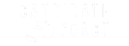 Candidate Coach